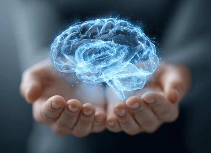 cerebro humano simbolizando que muitas vezes o desmaio pode ser alguma doença neurologica